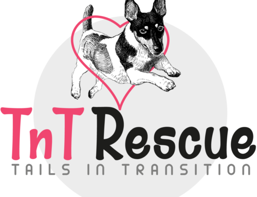 TNT Rescue Becomes New Rescue Partner